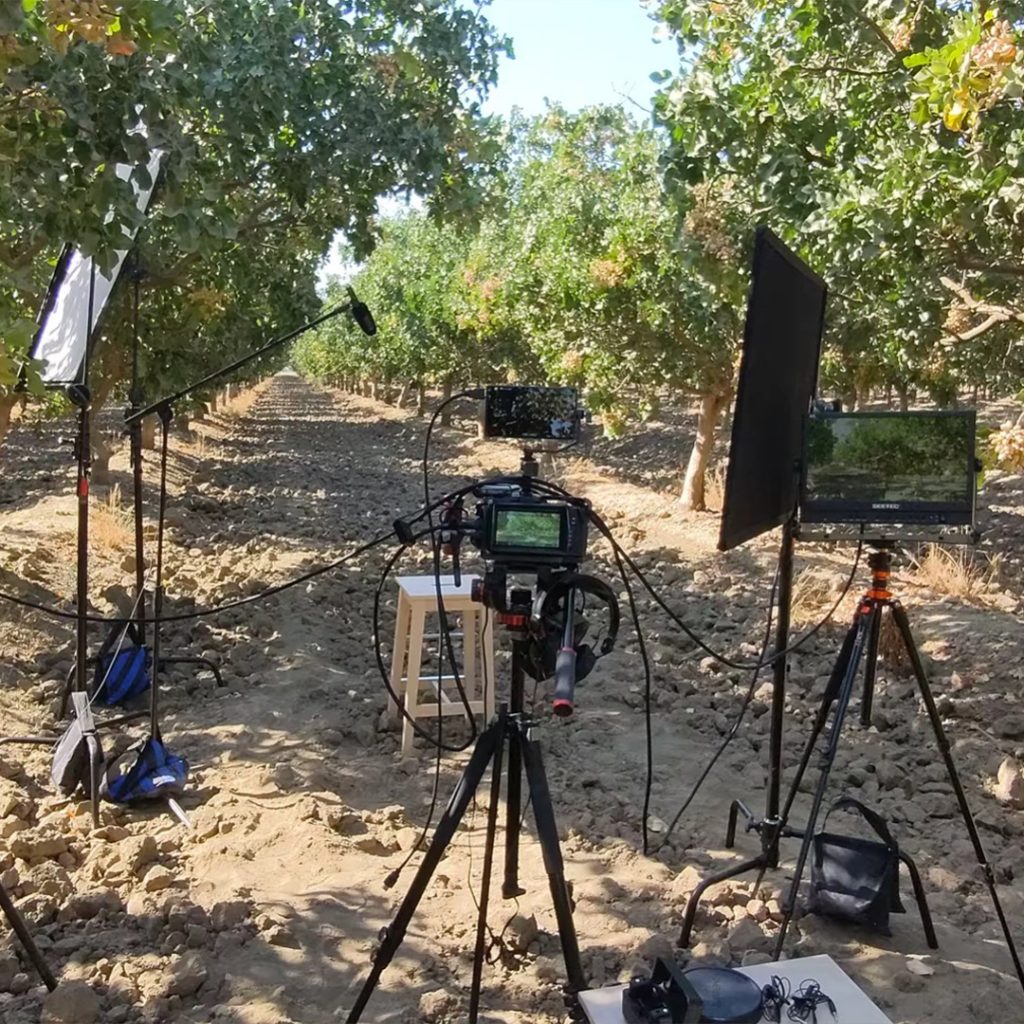 Cameras and lighting set up between orchard rows for a content day
