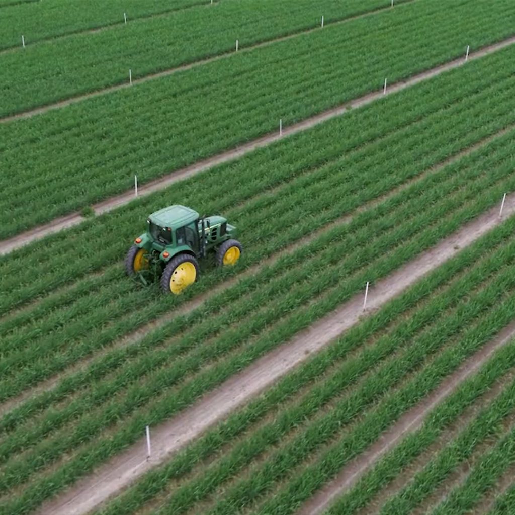 Aerial view of a tractor working green crop rows