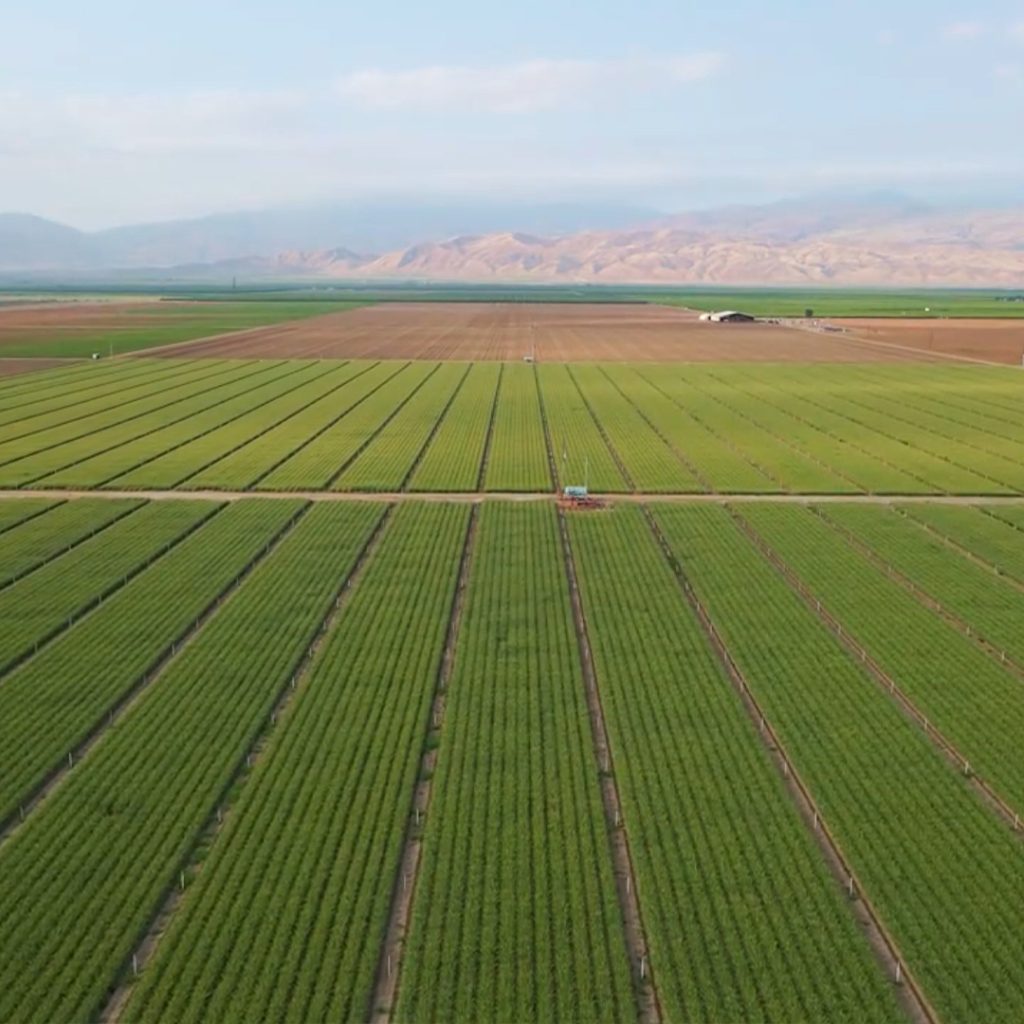Wide aerial view of Central Valley farmland with foothills behind