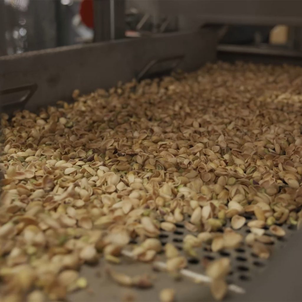 Close-up of pistachios moving through processing